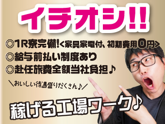 ̑Hn