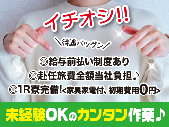 ̑Hn